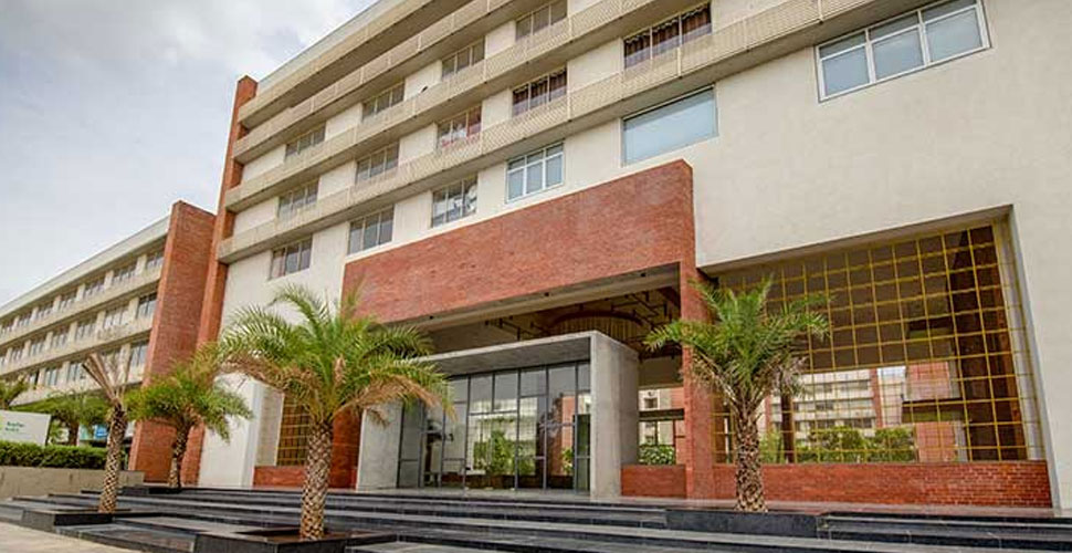 franchise management services